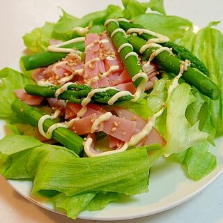 麺つゆマヨで　レタスとハムとアスパラのサラダ